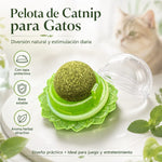 Catnip pelota para gatos
