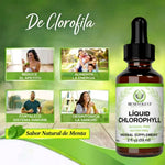 Clorofila Benevolent 60 ML | 💧 El detox que tu cuerpo pide a gritos