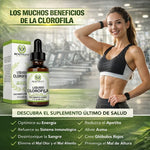 Clorofila Benevolent 60 ML | 💧 El detox que tu cuerpo pide a gritos