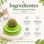 Catnip pelota para gatos